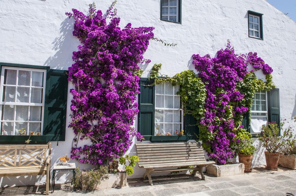 Hotel Rural Biniarroca - Adults Only Sant Lluis Exterior foto
