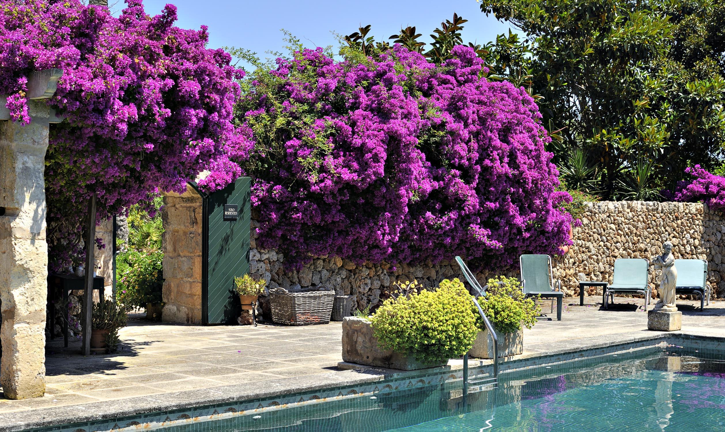 Hotel Rural Biniarroca - Adults Only Sant Lluis Exterior foto